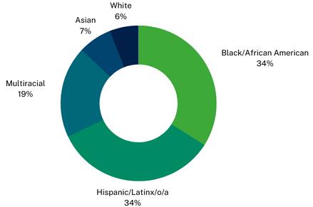 Percentages of the enrollees Race in a circle chart.